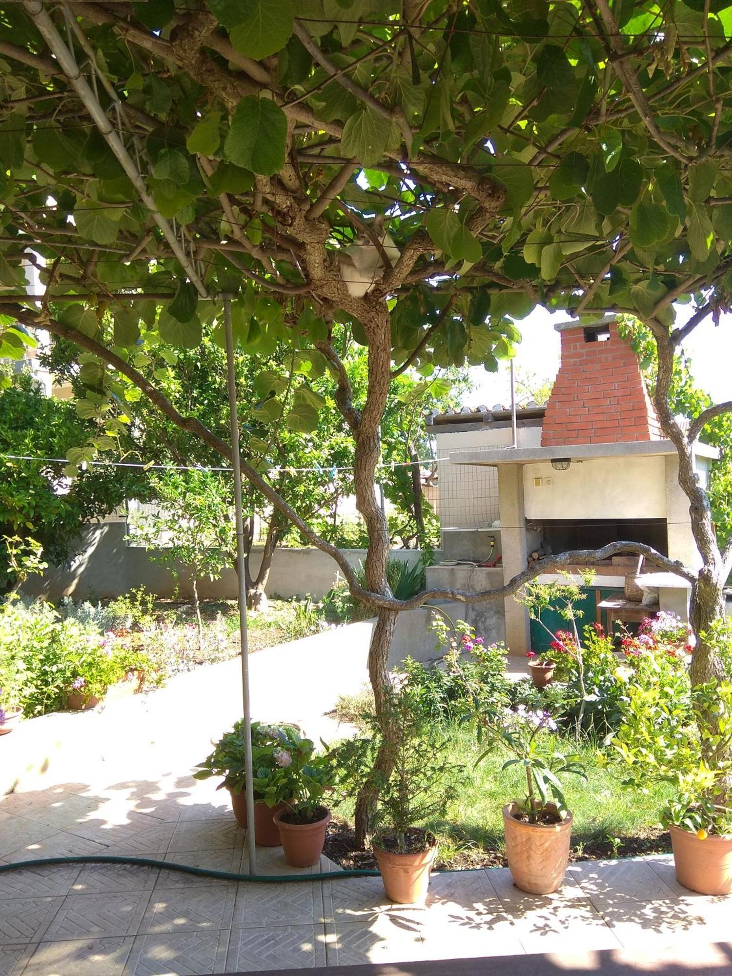 Villa Katarina Losinj Island Mali Lošinj Eksteriør bilde