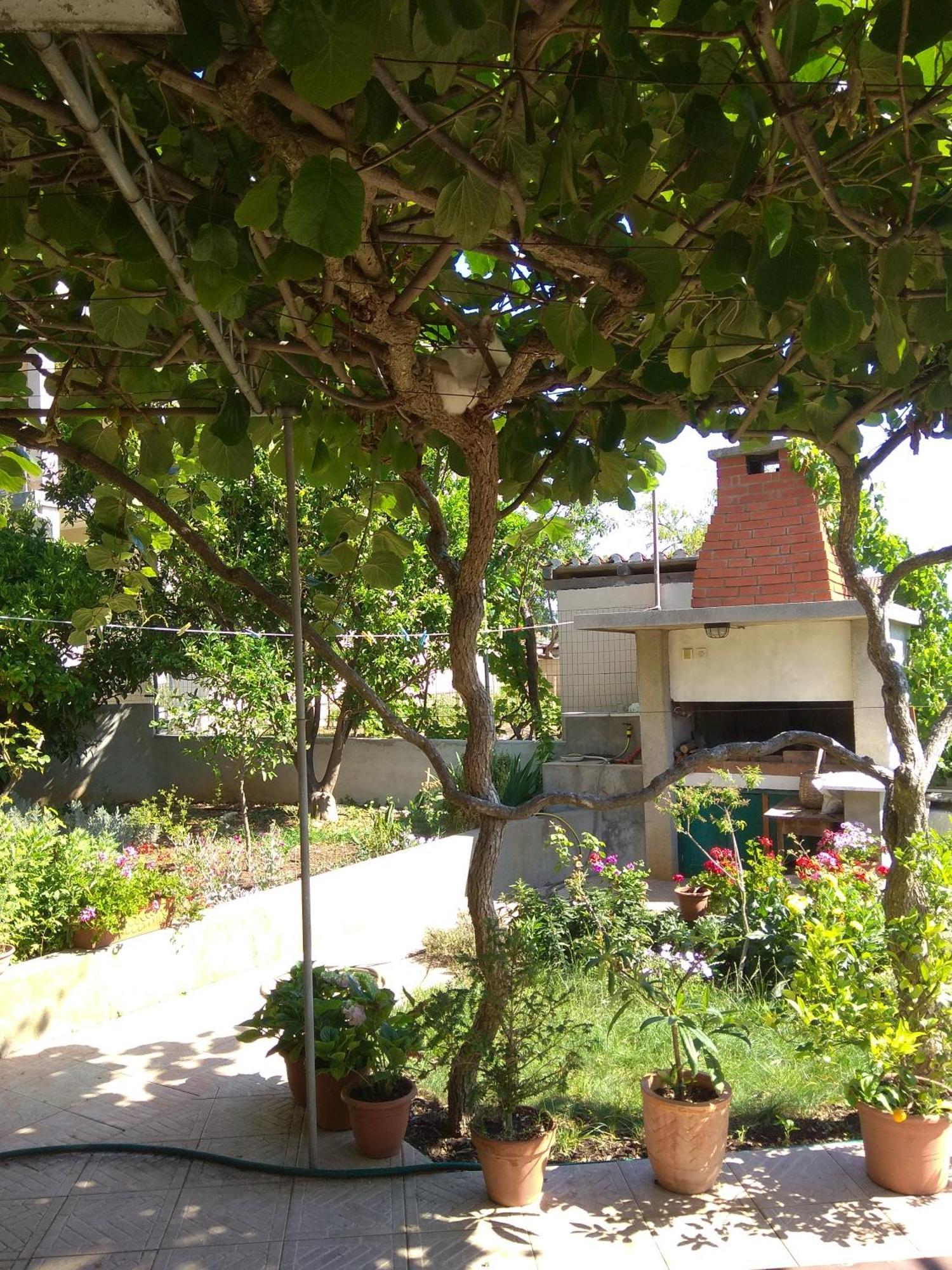 Villa Katarina Losinj Island Mali Lošinj Eksteriør bilde