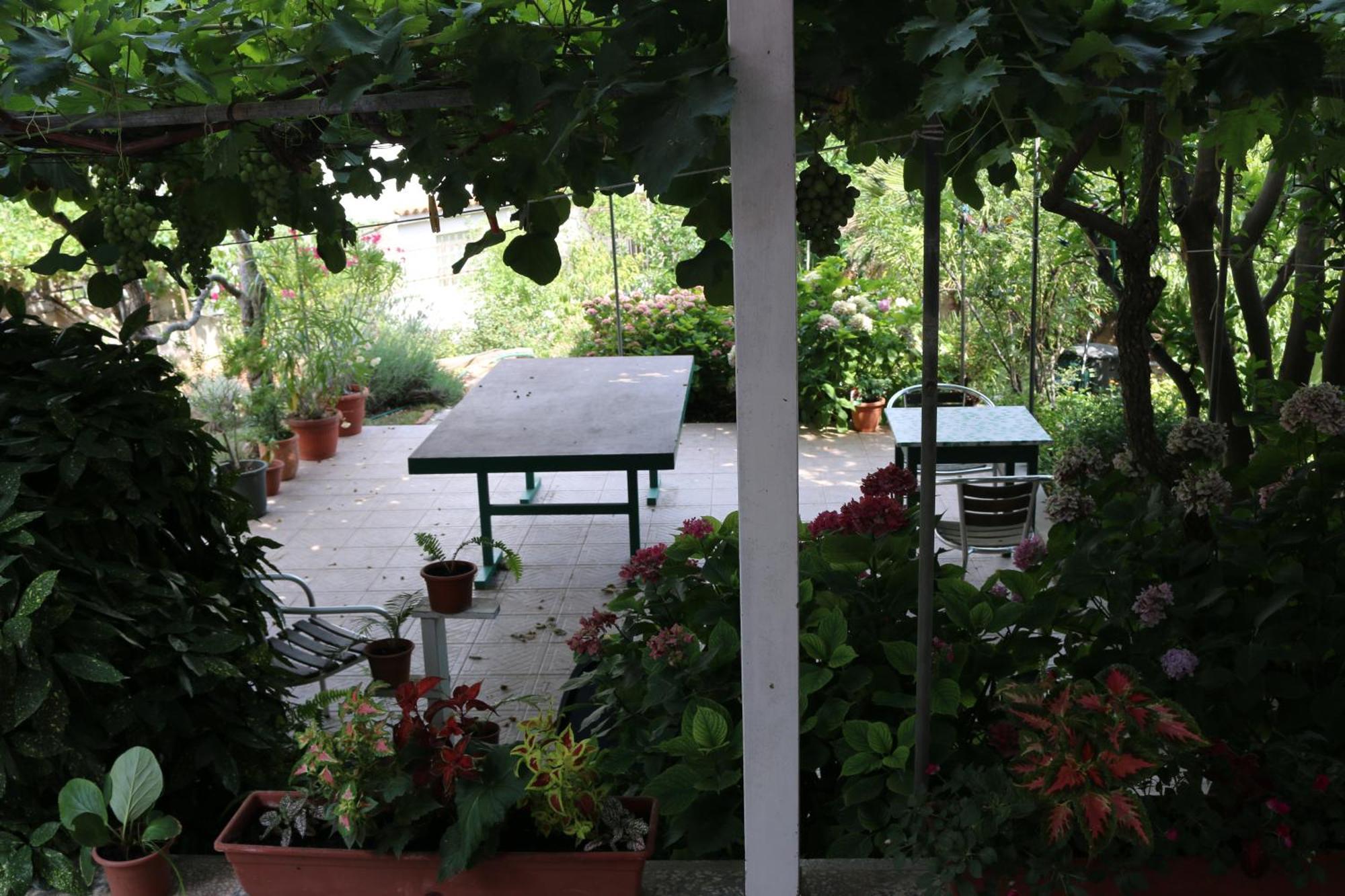 Villa Katarina Losinj Island Mali Lošinj Eksteriør bilde