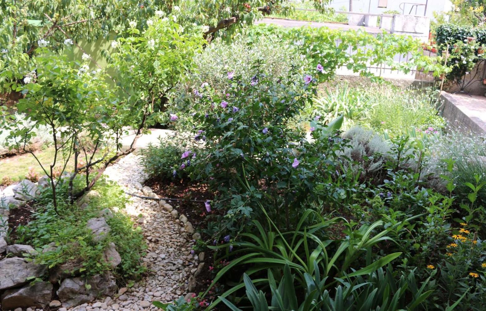 Villa Katarina Losinj Island Mali Lošinj Eksteriør bilde